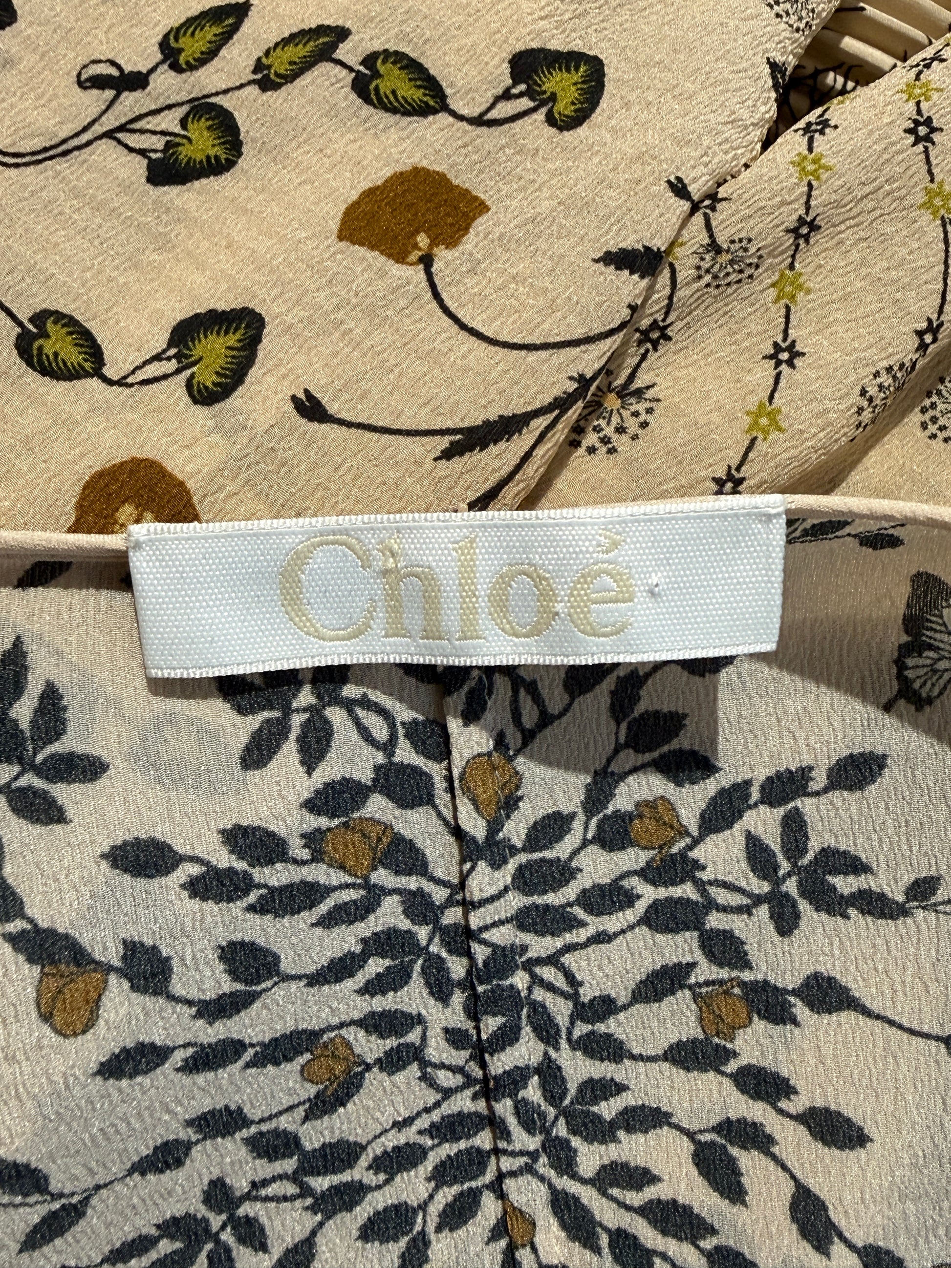 Chloe Clare Waight Keller Fall 2015 Look 30 Maxi crepe floral printed dress