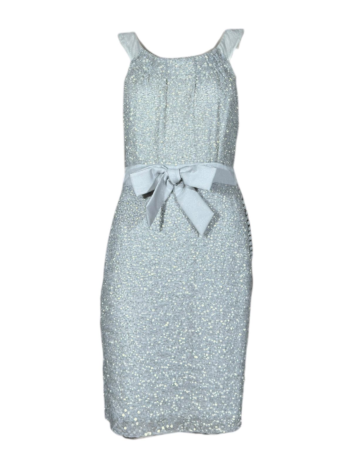 Christian Dior John Galliano Resort 2011 Look 33 Silver sequined dress organza