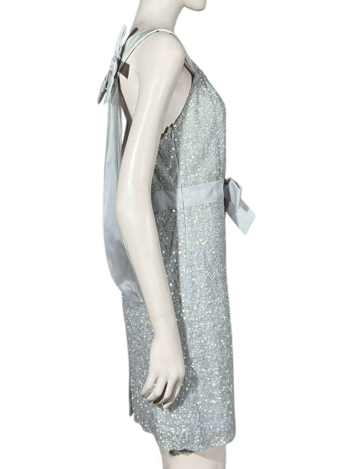 Christian Dior John Galliano Resort 2011 Look 33 Silver sequined dress organza
