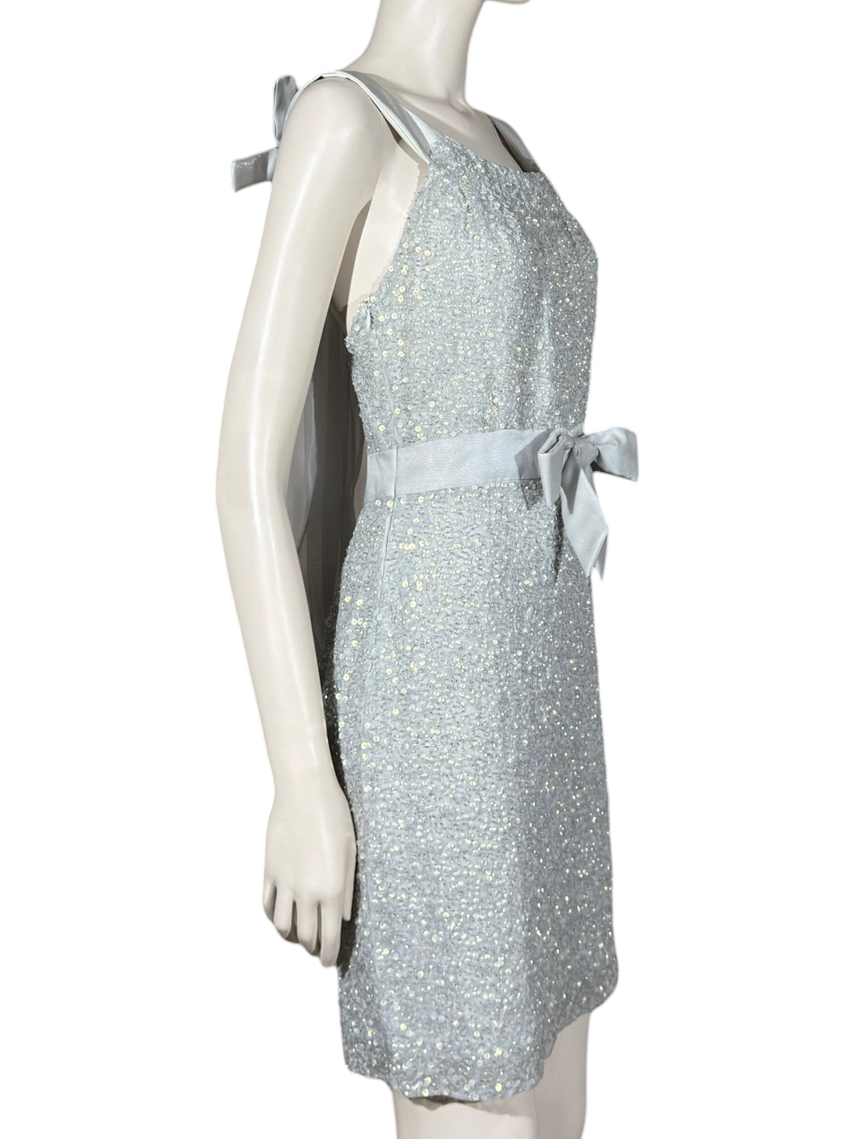 Christian Dior John Galliano Resort 2011 Look 33 Silver sequined dress organza
