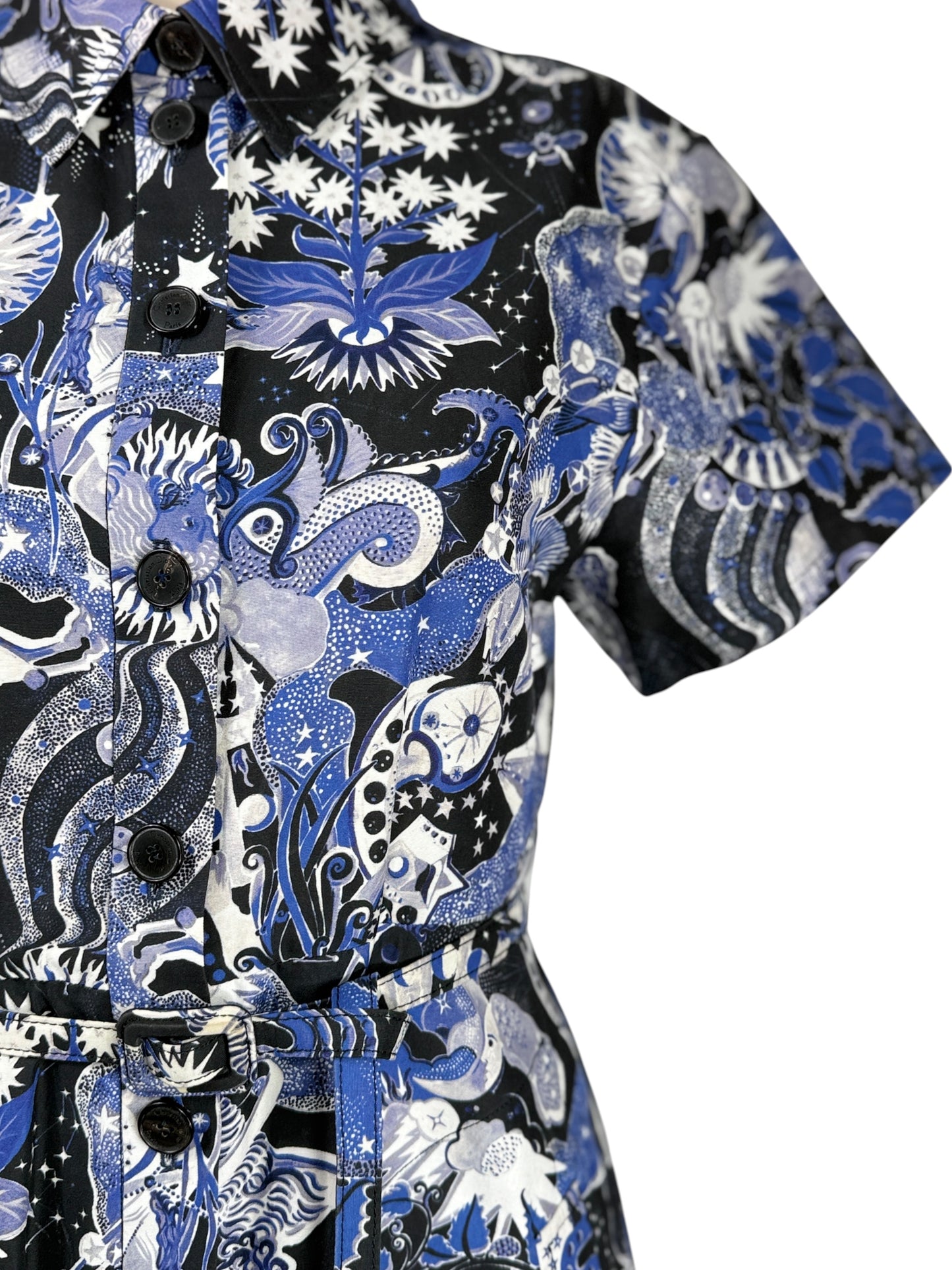 Christian Dior Maria Grazia Chiuri 2022 constellation dress