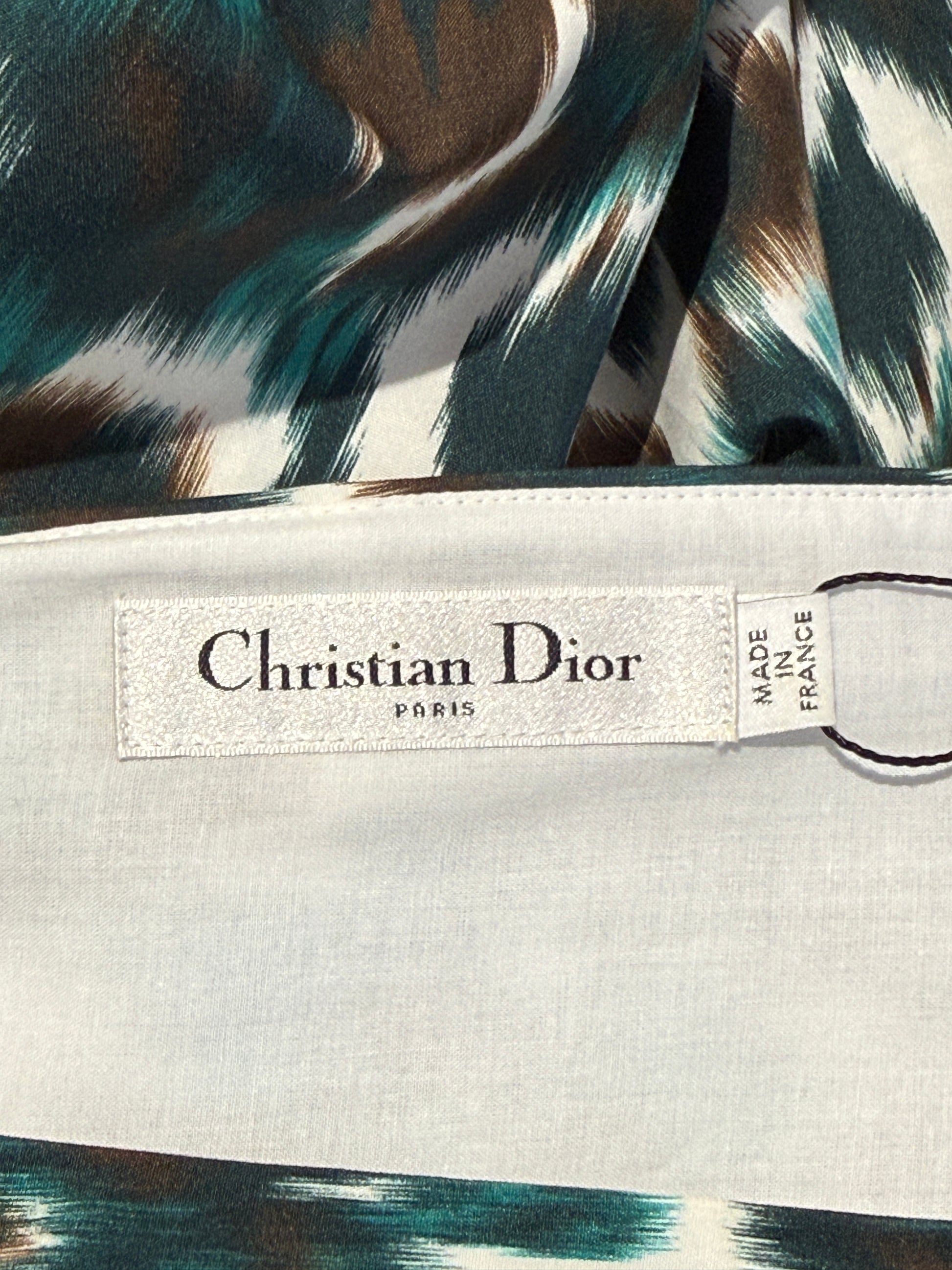 Christian Dior Maria Grazia Chiuri Fall 2023 Printed dress