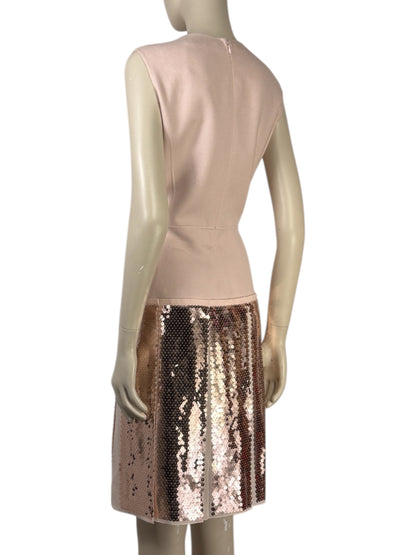 Christian Dior Raf Simons Collection Autumn Winter 2015 2016 Sleeveless pink cashmere dress and sequin 4