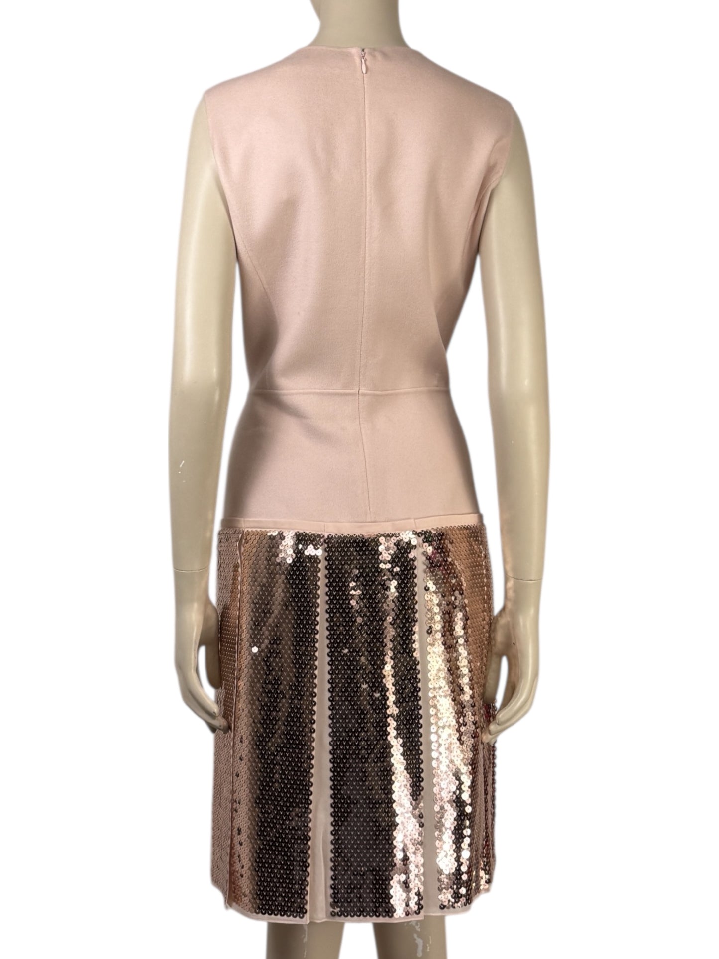 Christian Dior Raf Simons Collection Autumn Winter 2015 2016 Sleeveless pink cashmere dress and sequin 5