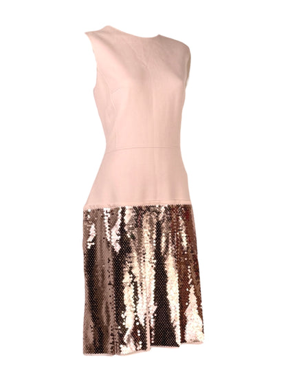 Christian Dior Raf Simons Collection Autumn Winter 2015 2016 Sleeveless pink cashmere dress and sequin 7