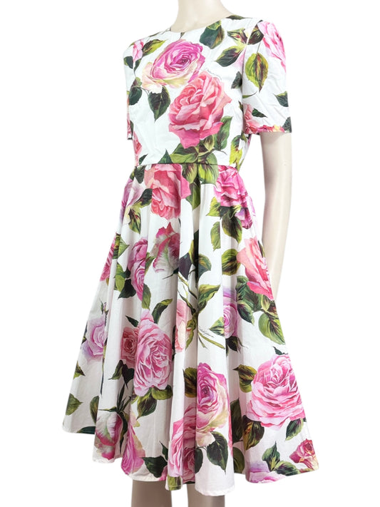 Dolce Gabbana printed cotton roses dress