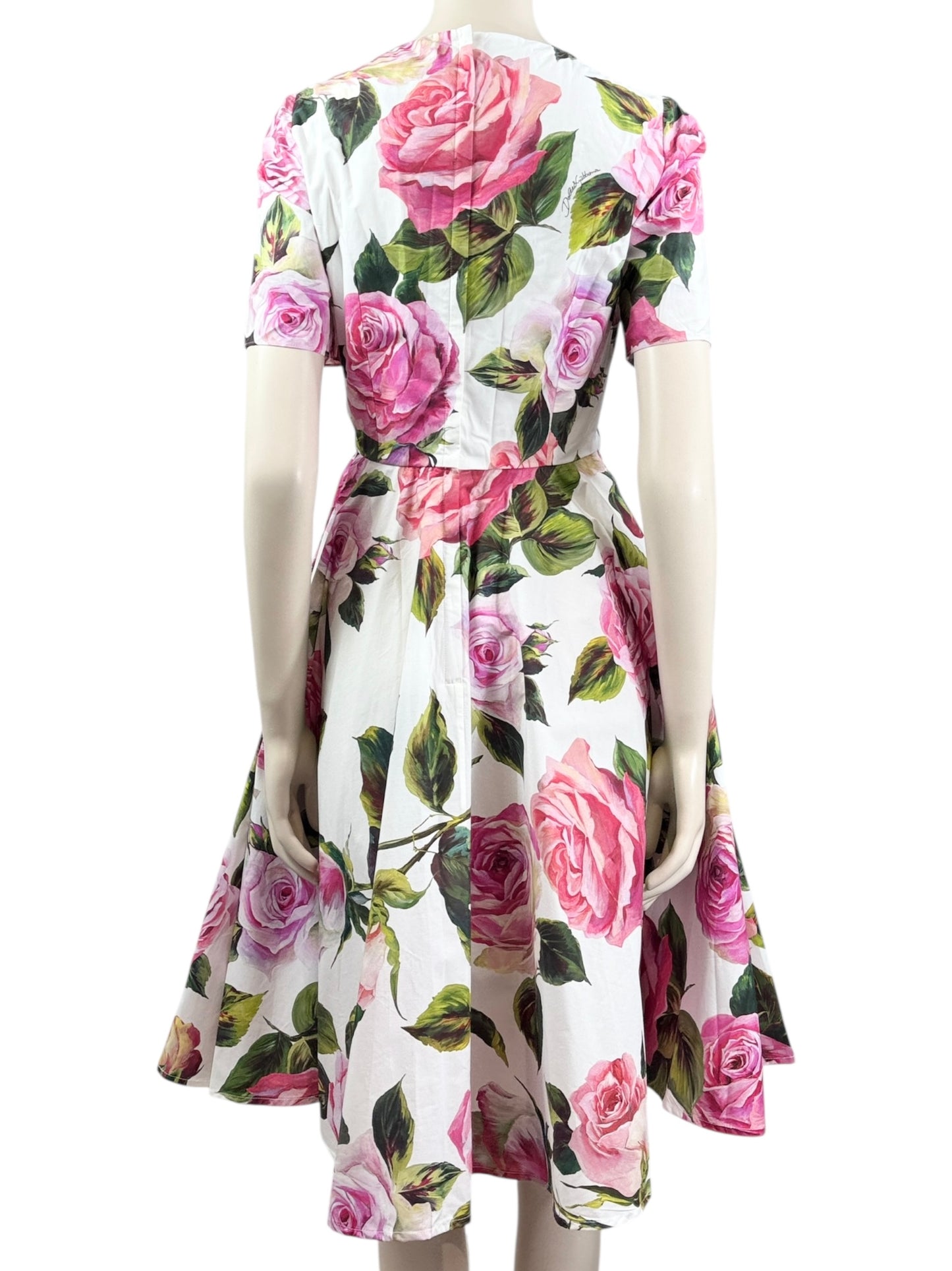 Dolce Gabbana printed cotton roses dress