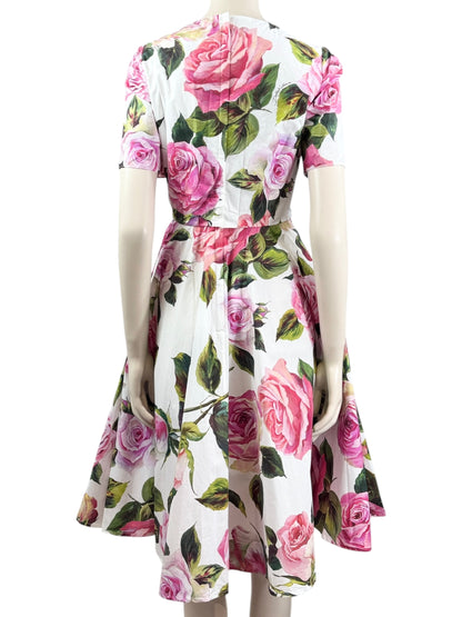 Dolce Gabbana printed cotton roses dress