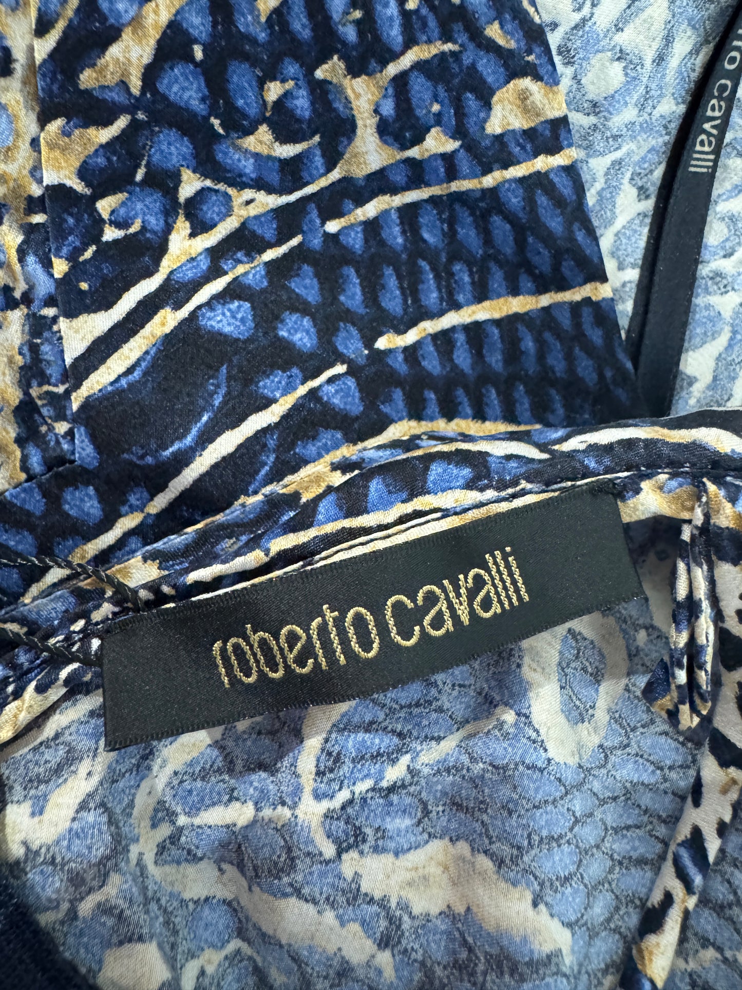 Roberto Cavalli 2005 Maxi printed silk dress