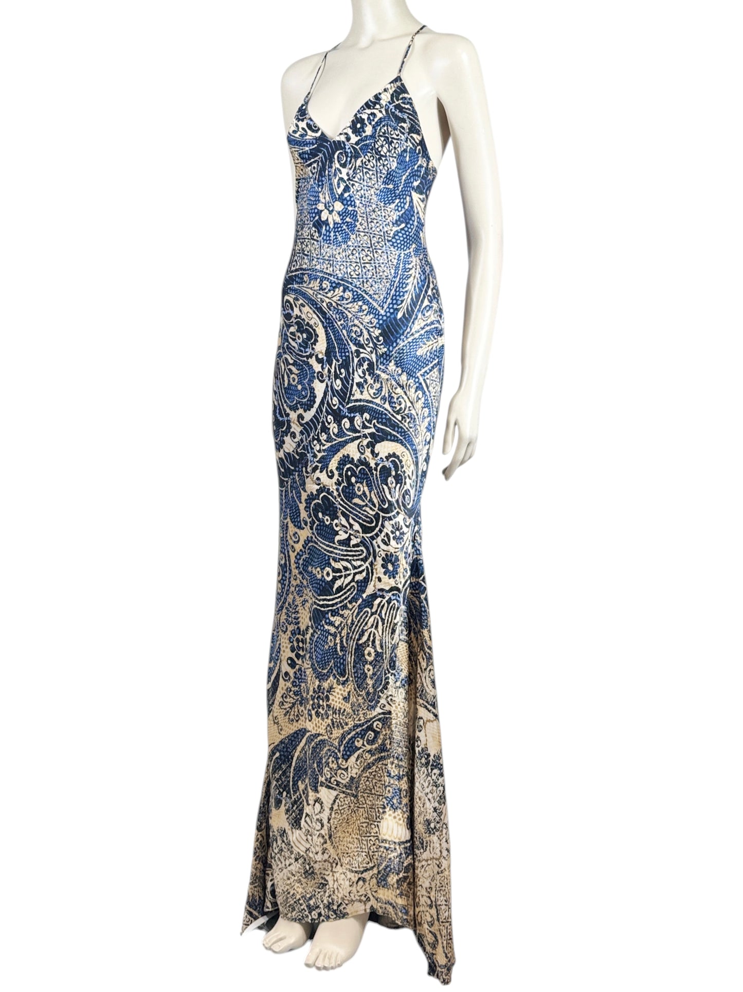 Roberto Cavalli 2005 Maxi printed silk dress
