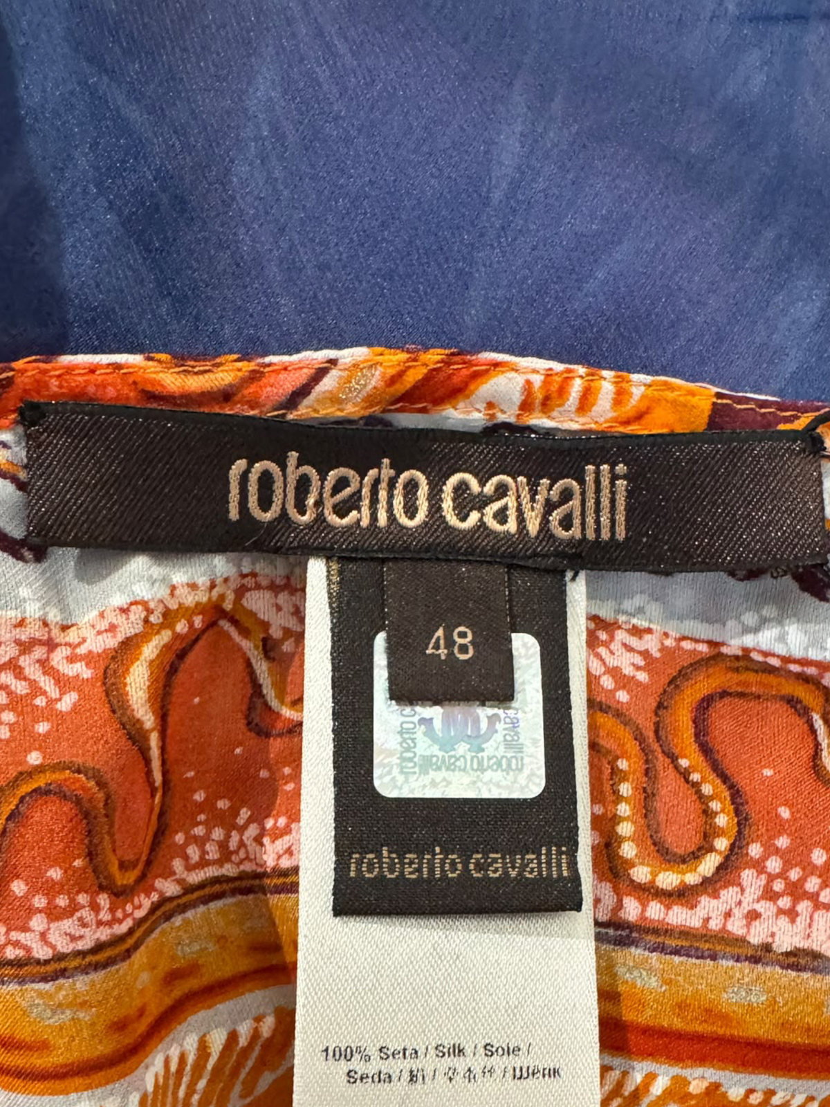 Roberto Cavalli 2011 Printed feather silk tunic