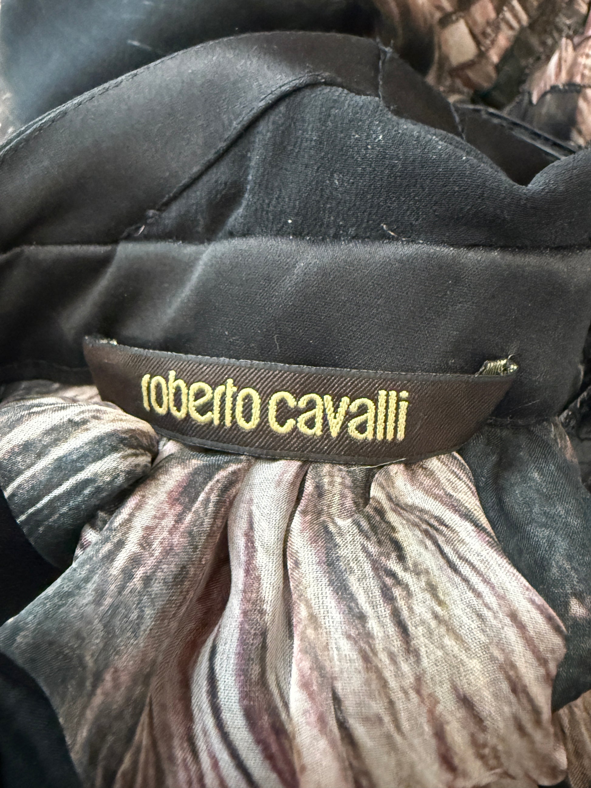 Roberto Cavalli Fall 2012 Look 40 Long silk dress