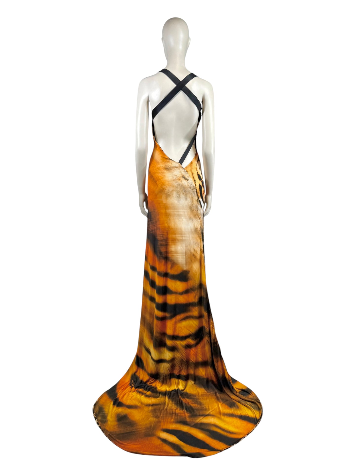 Roberto Cavalli Fausto Puglisi Spring 2022 Look 15 Maxi tiger dress