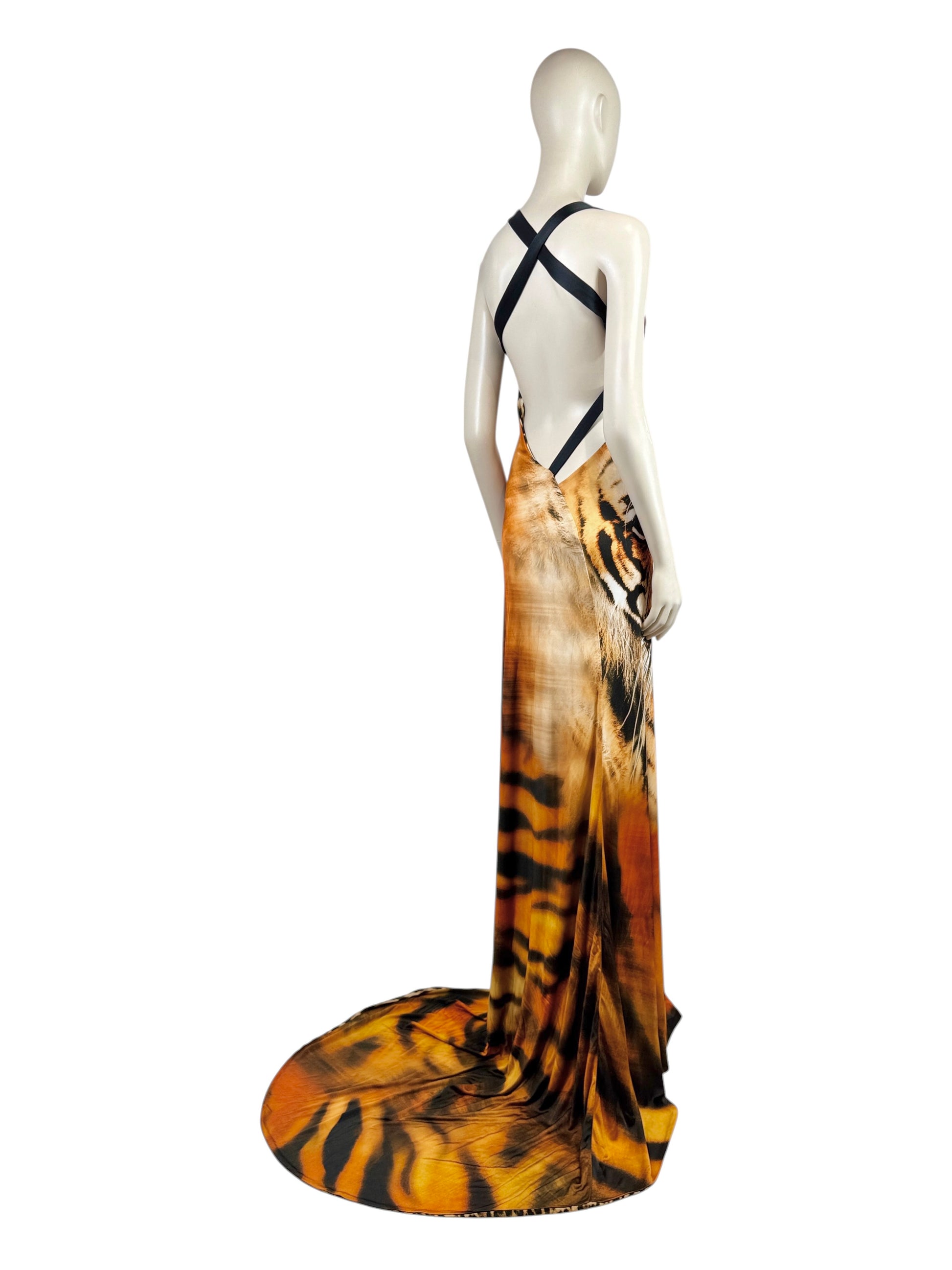 Roberto Cavalli Fausto Puglisi Spring 2022 Look 15 Maxi tiger dress