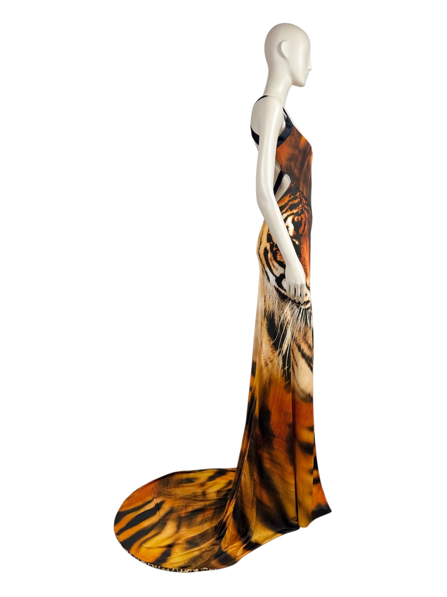 Roberto Cavalli Fausto Puglisi Spring 2022 Look 15 Maxi tiger dress