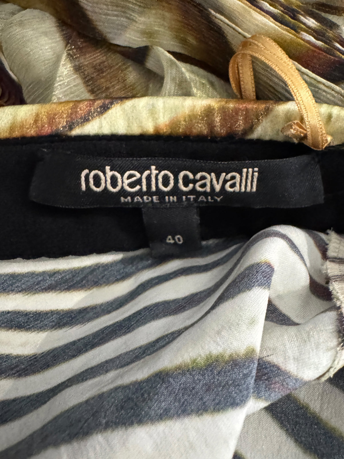 Roberto Cavalli Fausto Puglisi Spring 2025 Ray of Light silk dress