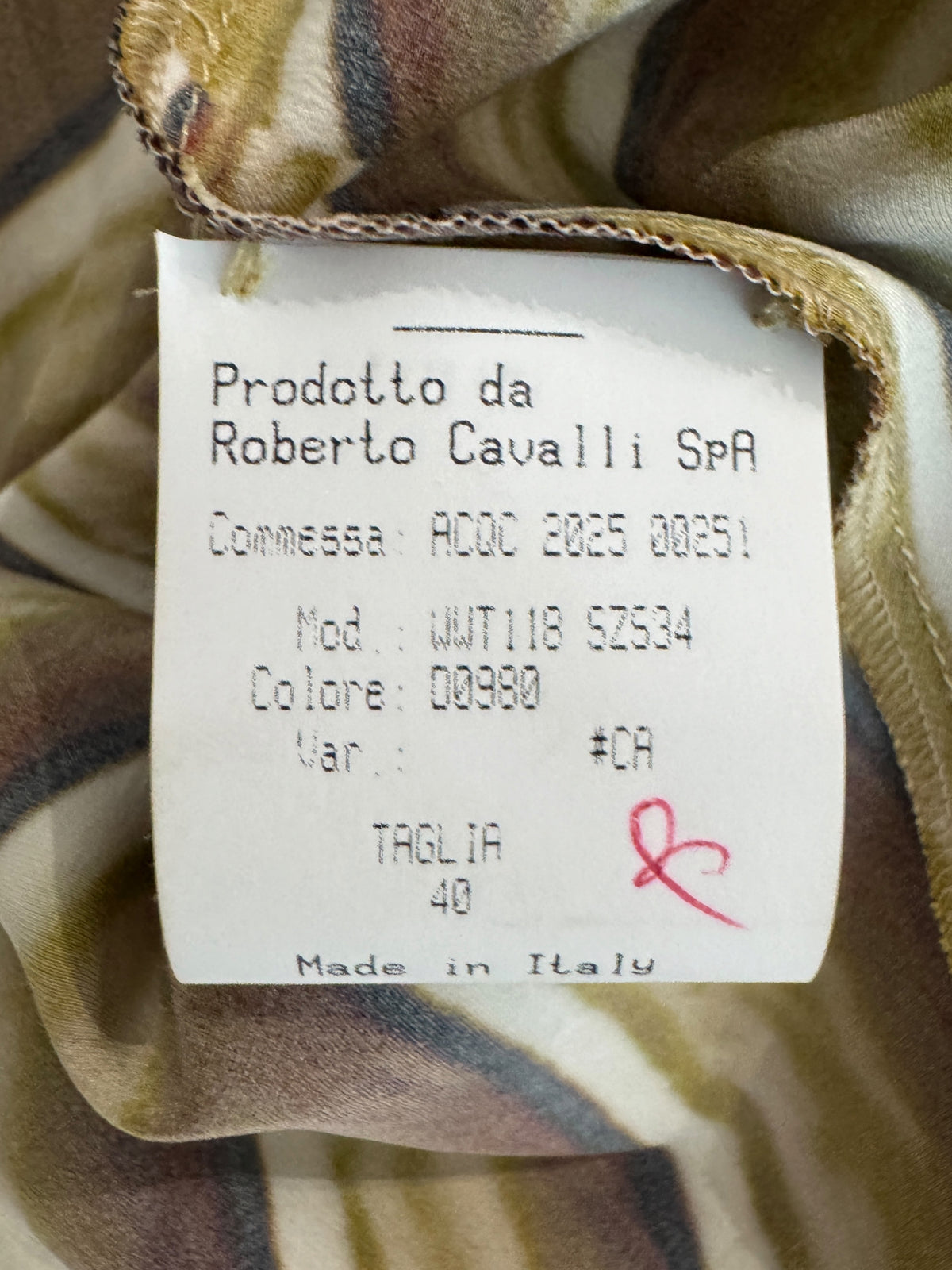 Roberto Cavalli Fausto Puglisi Spring 2025 Ray of Light silk dress
