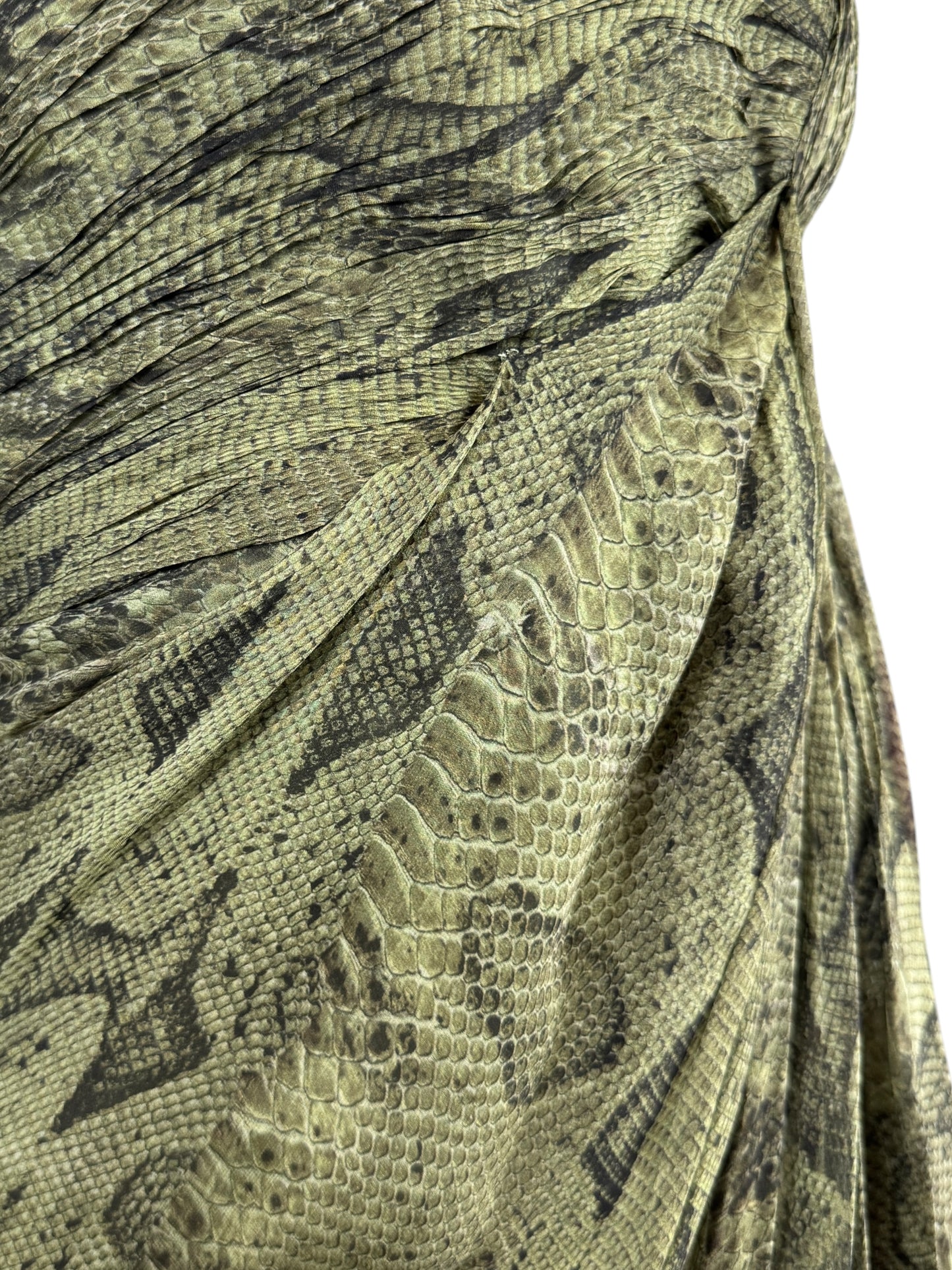 Roberto Cavalli PreFall 2010 maxi chiffon dress in python-print silk