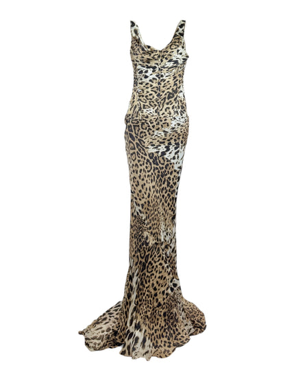 Roberto Cavalli Prefall 2010 Look 11 Maxi chiffon leopard dress