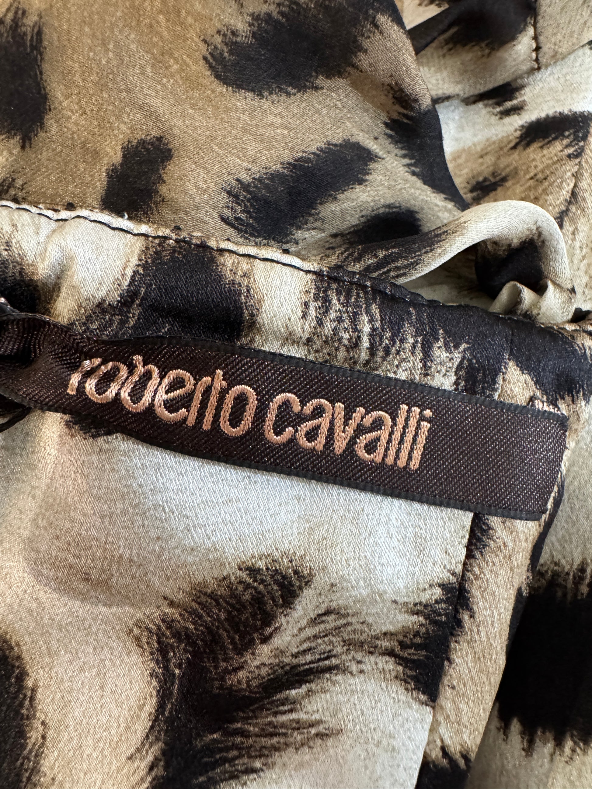 Roberto Cavalli Prefall 2010 Look 11 Maxi chiffon leopard dress