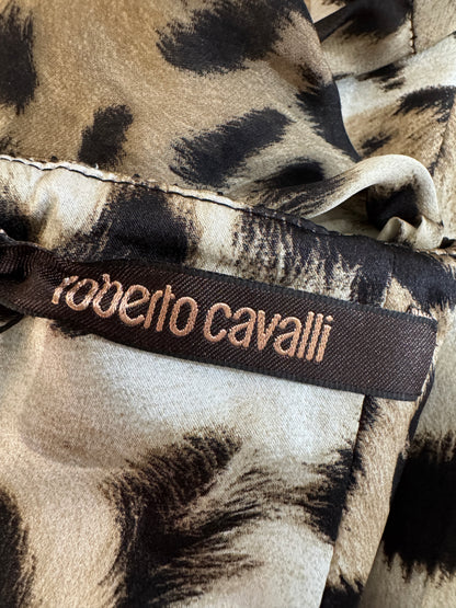 Roberto Cavalli Prefall 2010 Look 11 Maxi chiffon leopard dress
