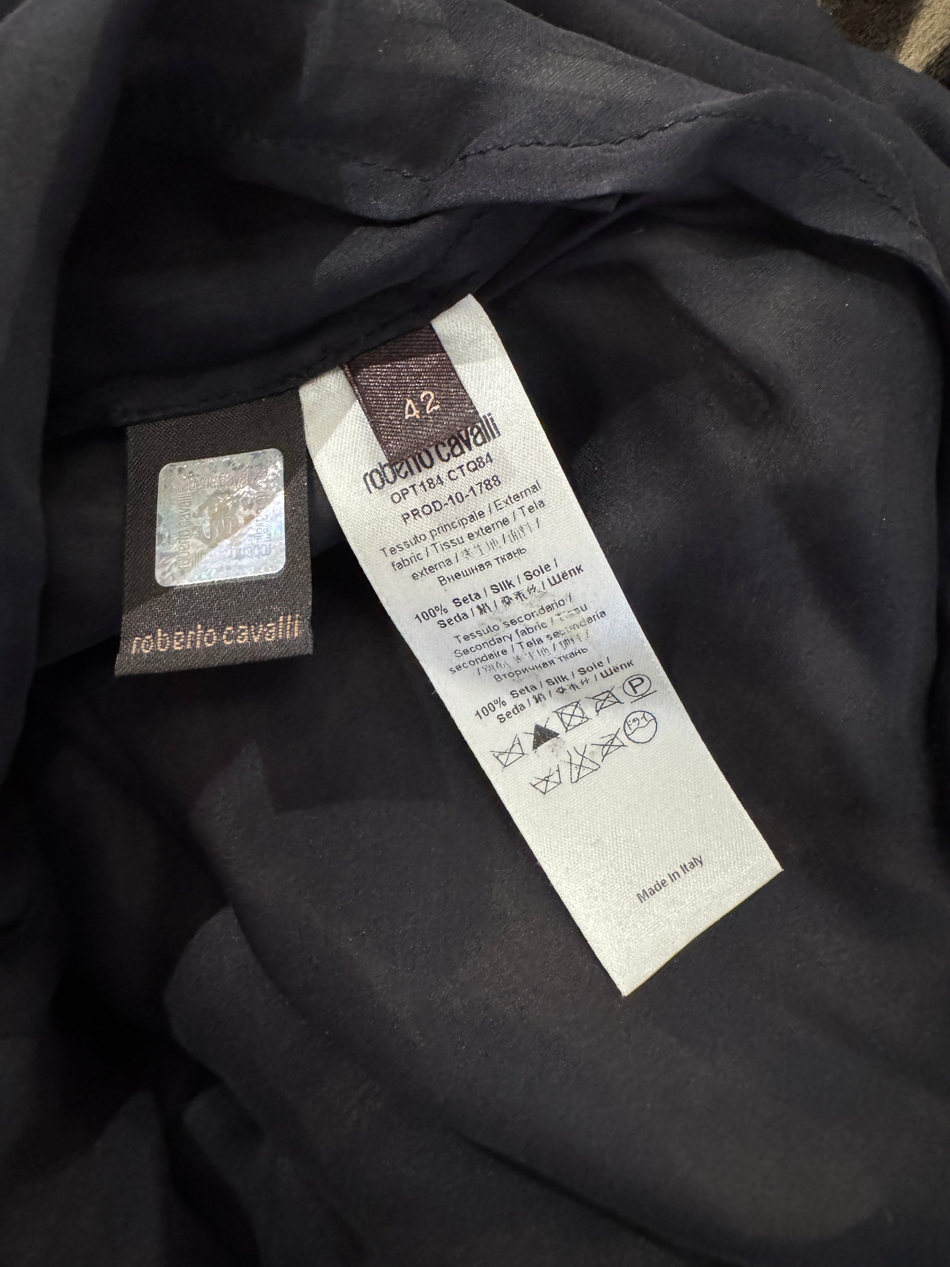 Roberto Cavalli Prefall 2010 Look 11 Maxi chiffon leopard dress