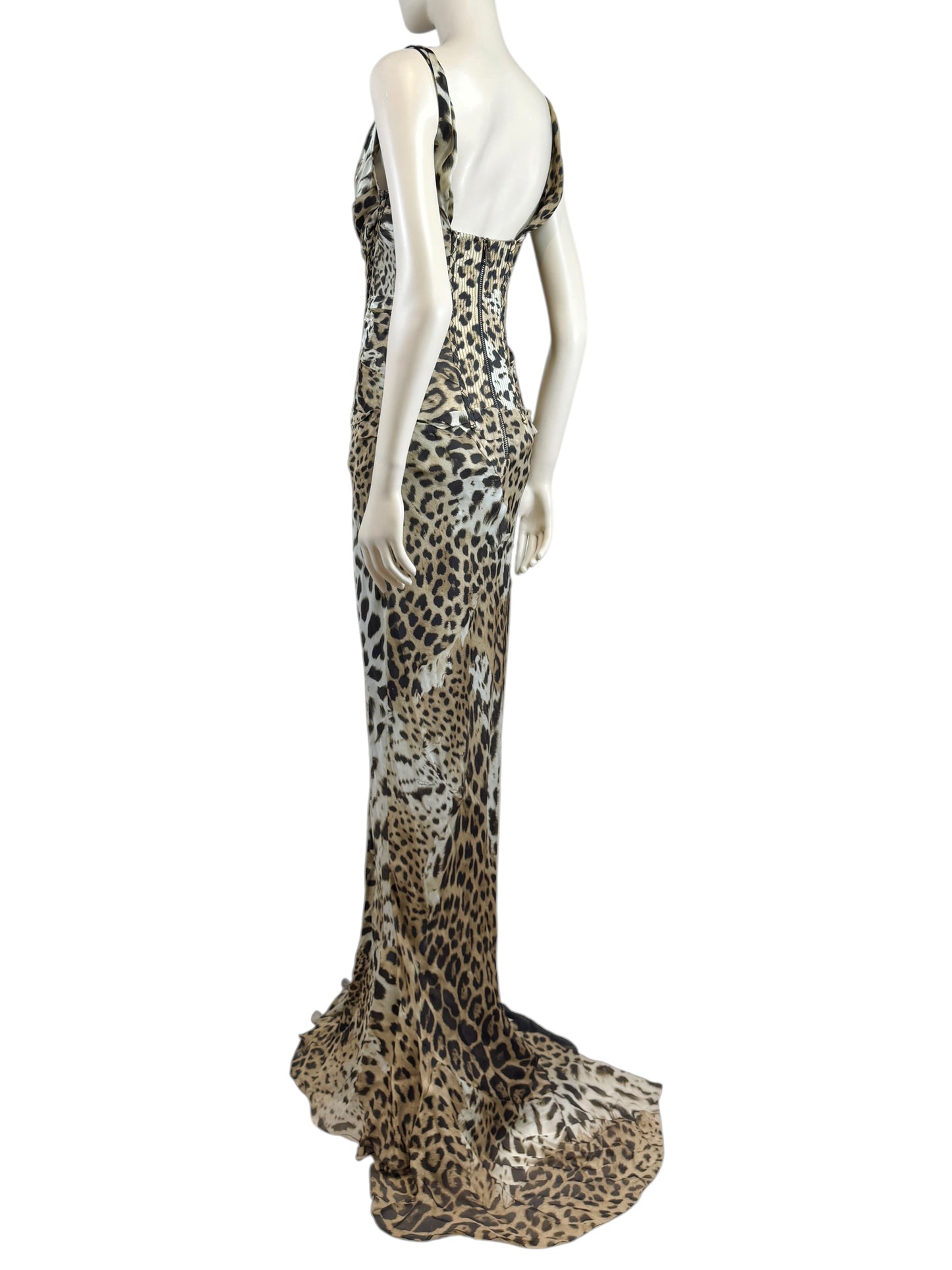 Roberto Cavalli Prefall 2010 Look 11 Maxi chiffon leopard dress