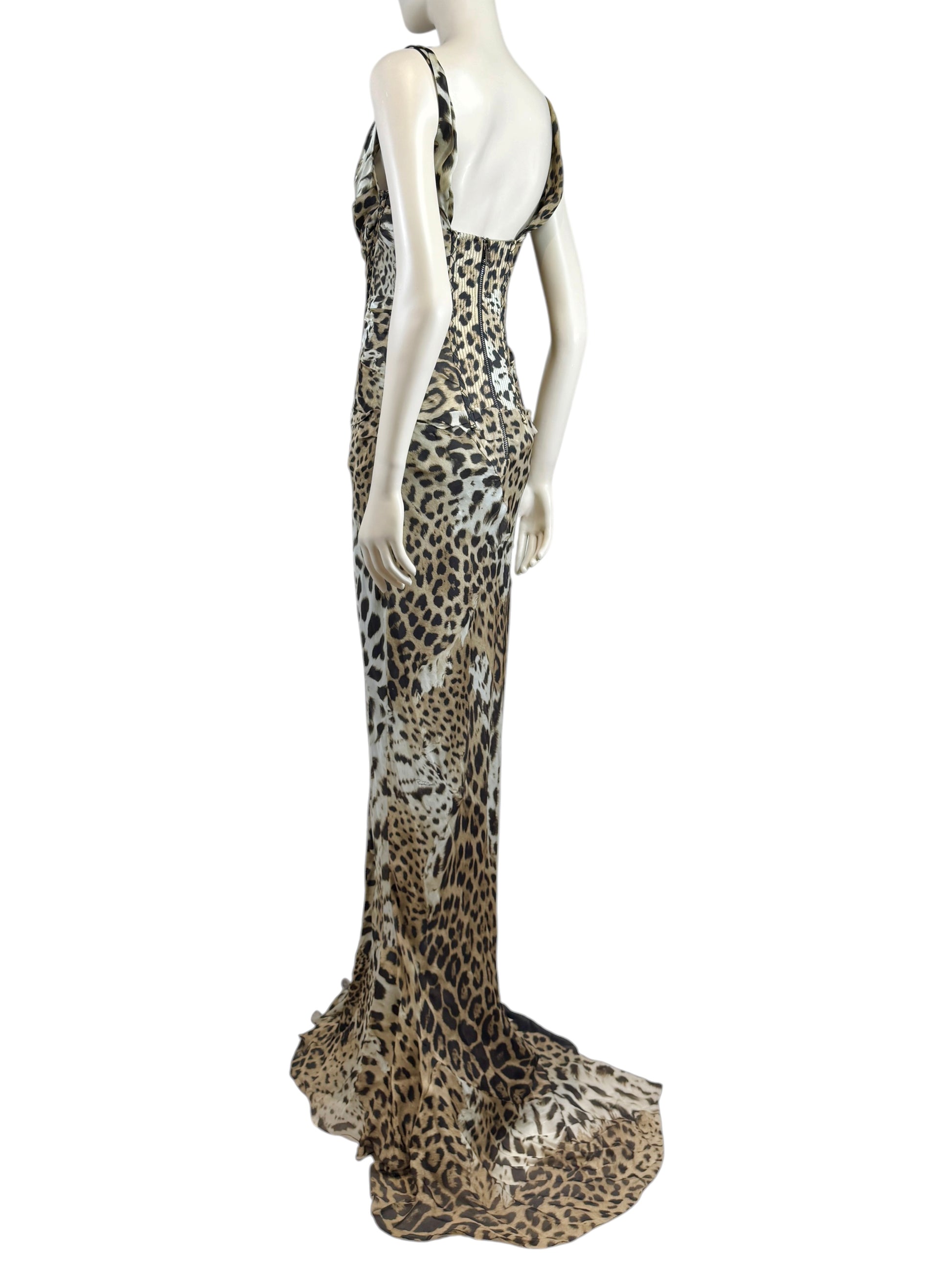 Roberto Cavalli Prefall 2010 Look 11 Maxi chiffon leopard dress