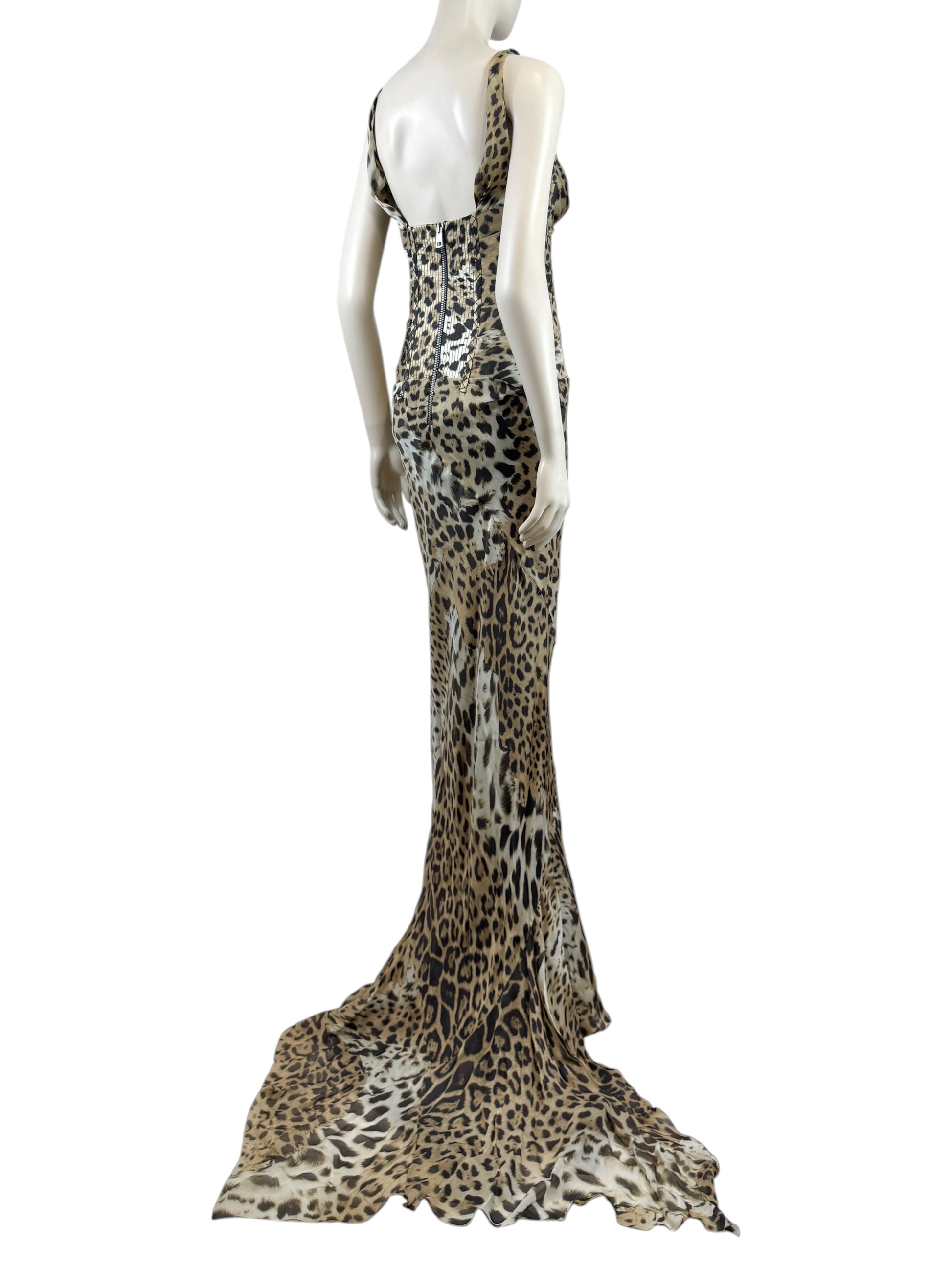 Roberto Cavalli Prefall 2010 Look 11 Maxi chiffon leopard dress