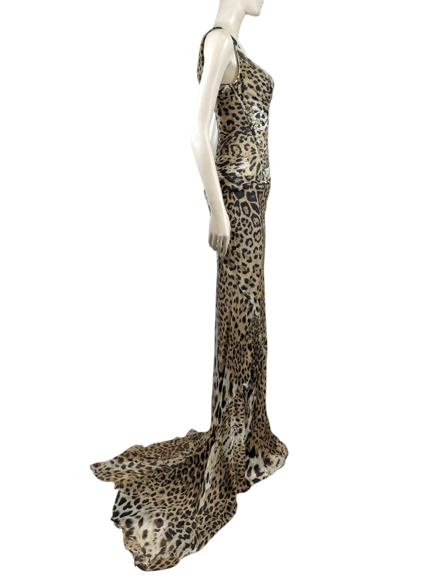 Roberto Cavalli Prefall 2010 Look 11 Maxi chiffon leopard dress