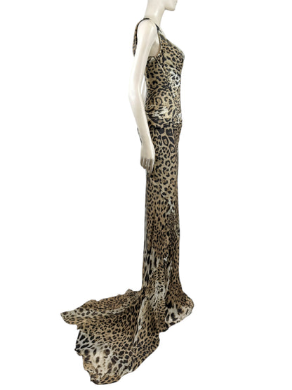 Roberto Cavalli Prefall 2010 Look 11 Maxi chiffon leopard dress