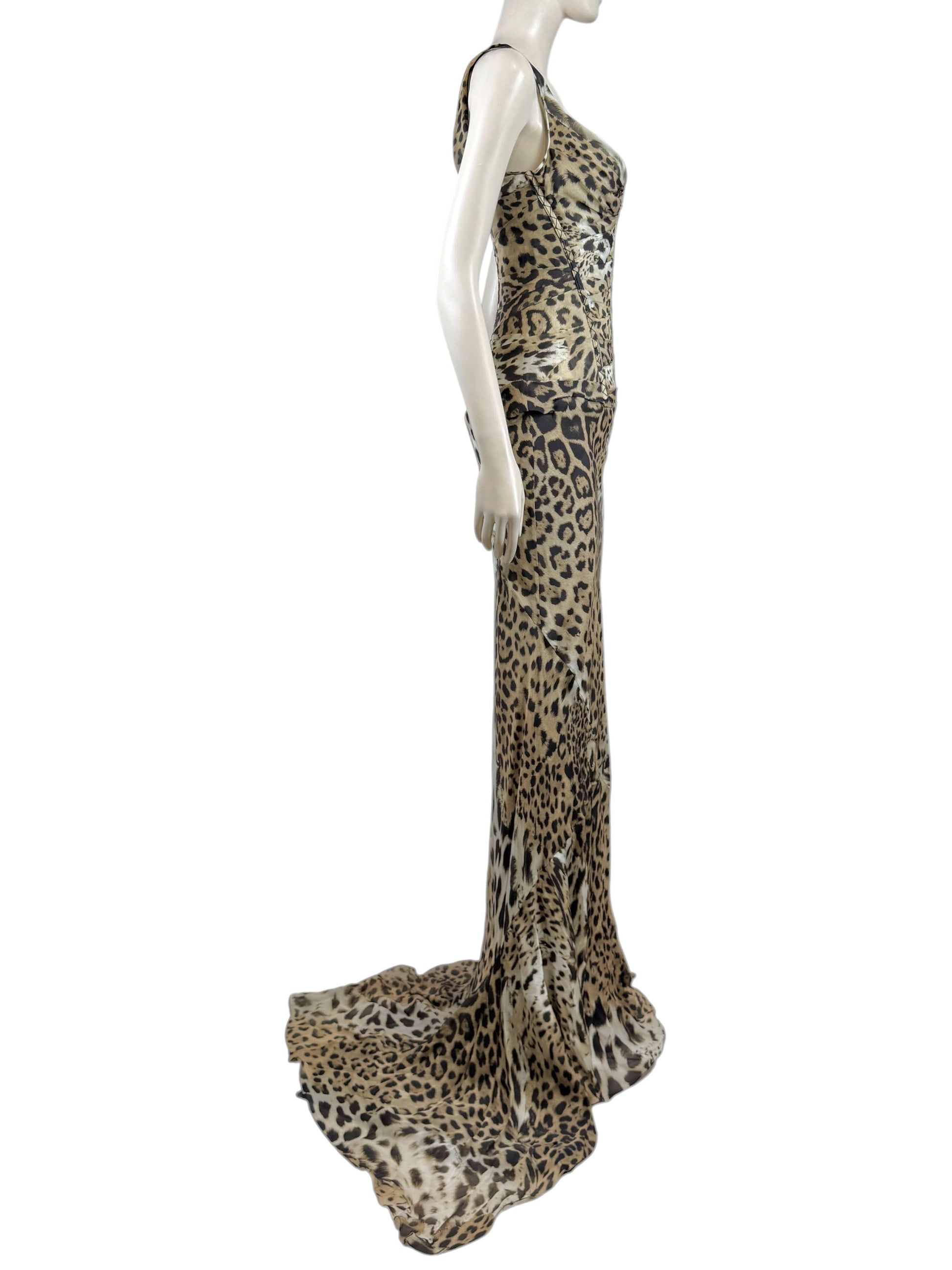 Roberto Cavalli Prefall 2010 Look 11 Maxi chiffon leopard dress