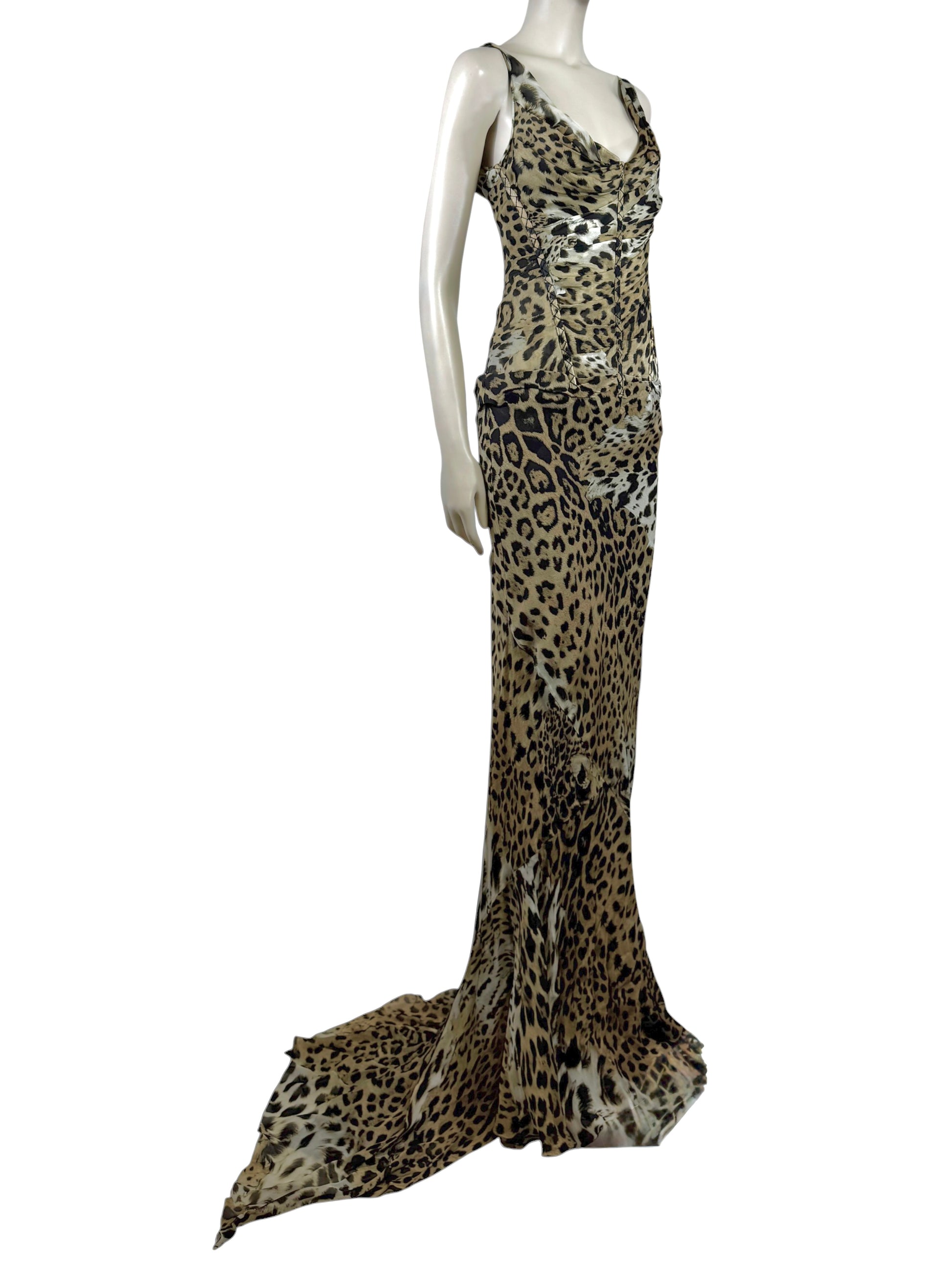 Roberto Cavalli Prefall 2010 Look 11 Maxi chiffon leopard dress