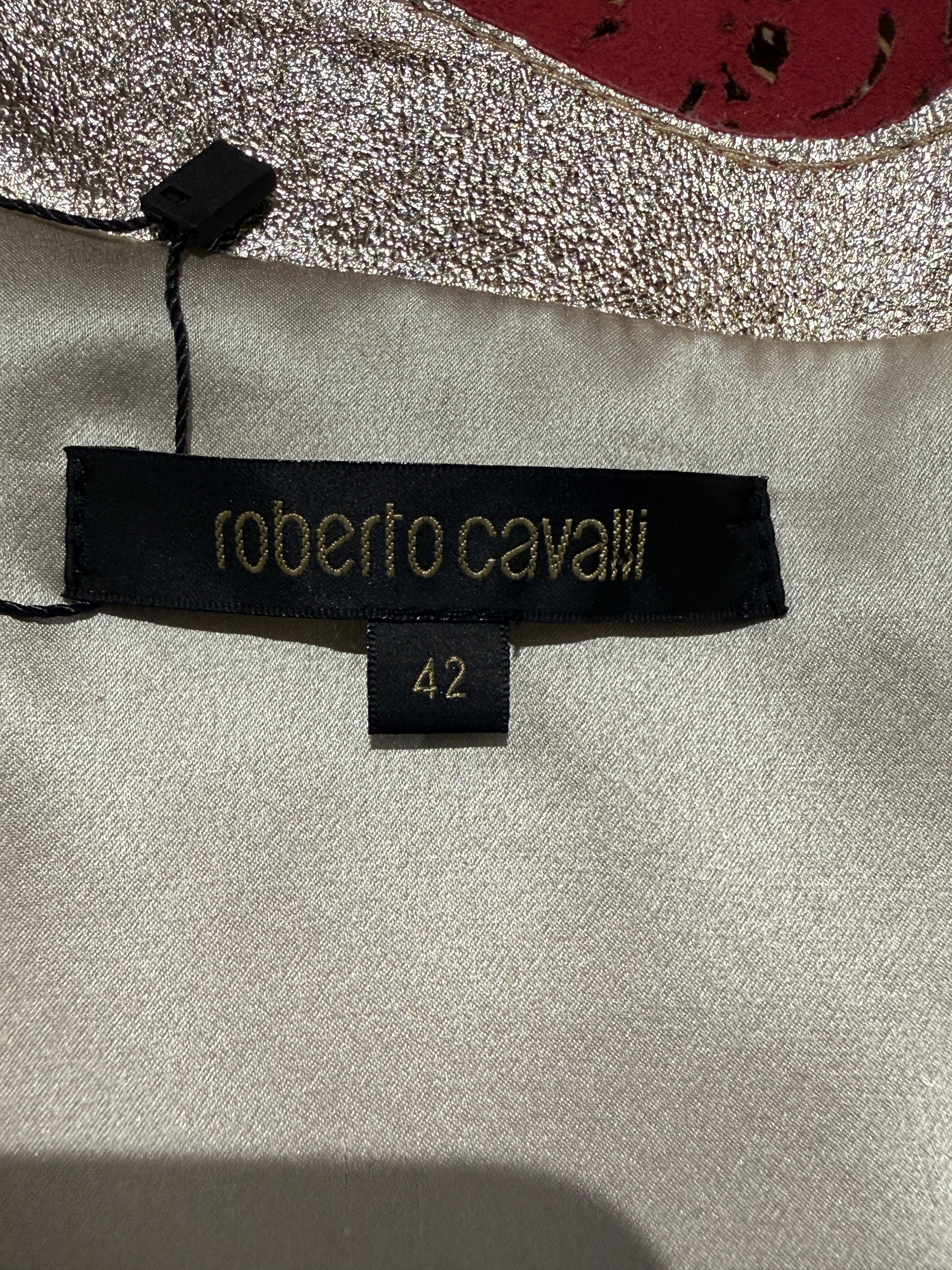 Roberto Cavalli Spring 2007 Gold metallic lambskin jacket dragons