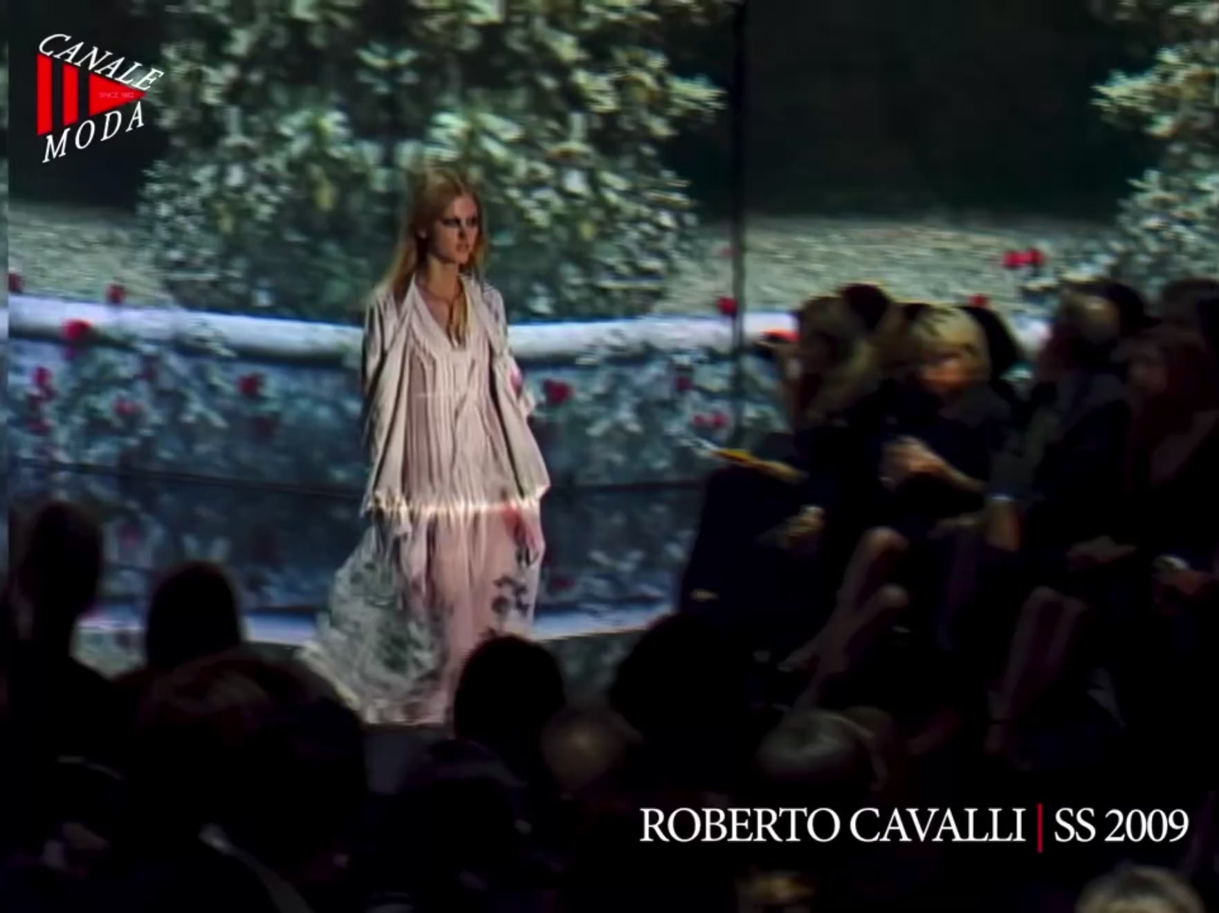 Roberto Cavalli Spring 2009 Look 31 Maxi chiffon dress printed floral